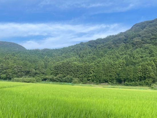 里山ウォッチング5