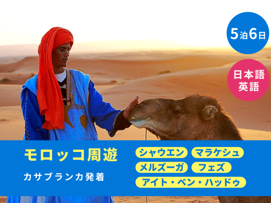 5泊6日 モロッコ周遊ツアー シャウエンほか6か所観光＜貸切／カサブランカ発着／日本語または英語＞