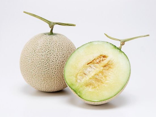 メロン