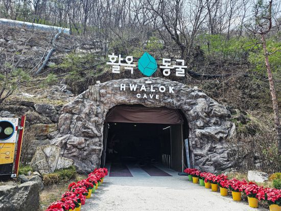 ソウル発忠州レジャー満喫ツアー　湖上クルーズ＋絶景ケーブルカー＋神秘の洞窟カヤック＜1日／1名参加OK／選べる出発地／英語ガイド＞