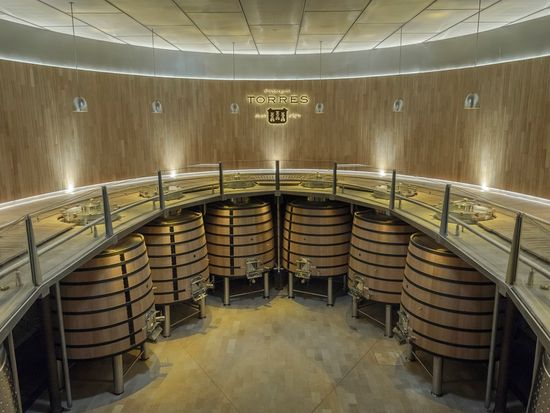 Sala vinificaci_Torres