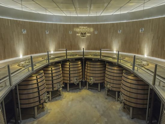 カタルーニャワインツアー　老舗ワイナリーを訪問 ＜4～10月／郷土料理ブランチ付き＆試飲付き／英語ガイド／バルセロナ発＞