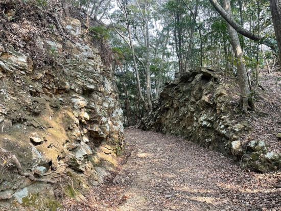 金田城歴史トレッキングツアー 城山を巡る2つのルートで対馬の時空を旅するひととき＜行動食・おやつ付／3時間 or 5時間＞