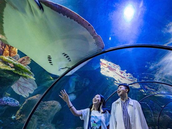 Pict - Sea World - 4_2_11zon