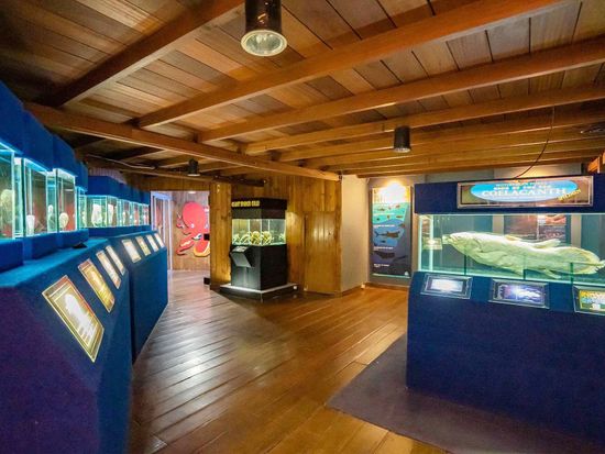 Pict - Sea World - 1_6_11zon