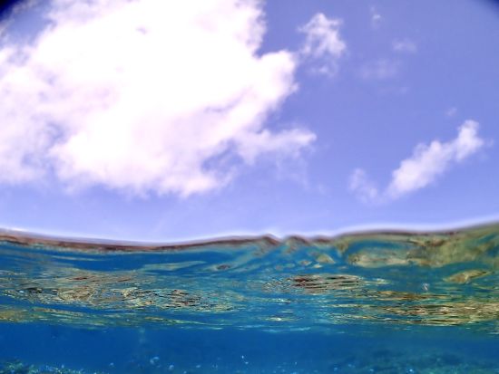 少人数制の八重干瀬シュノーケルツアー！船長の手作りランチ付き！水中写真データプレゼント＆djiカメラ無料貸出