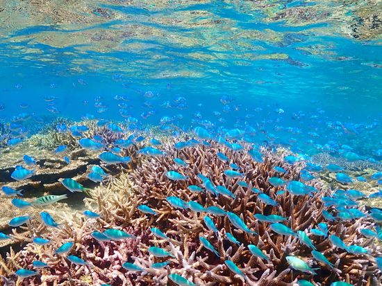 4B6011D3-40D8-4195-BCF1-3235C76D7112_Original