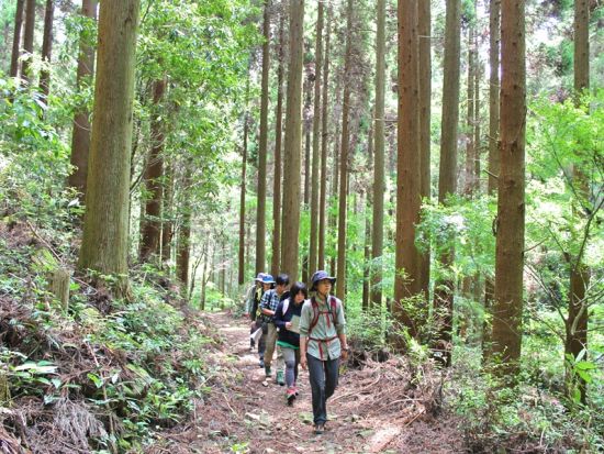対馬の名峰・白嶽トレッキングツアー 霊山として崇められた天然記念物の原生林へ！＜行動食・おやつ付／5時間＞