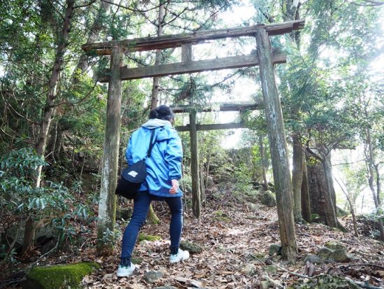 対馬・御岳トレッキングツアー ツシマヤマネコが棲む神秘の山へ！原始林と天然記念物の宝庫を歩く癒しの旅＜行動食・おやつ付／3時間＞
