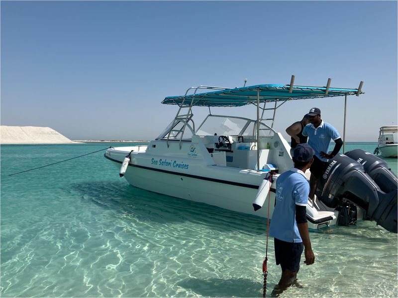Dolphin Island (1)
