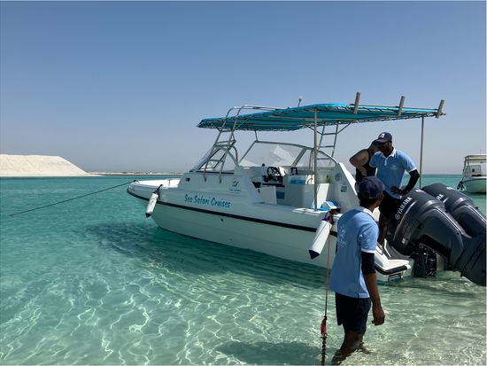 Dolphin Island (1)