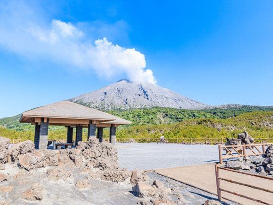 【貸切】観光タクシー 窯元見学＋文学碑＋溶岩展望所などを満喫！桜島活火山探訪コース＜4時間／最大9名／鹿児島市内発着＞