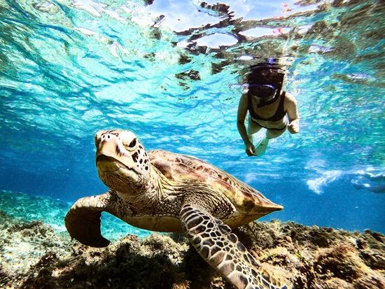 7FE15AD7-80B5-4365-951B-CAB1CF3B3F12 (1)