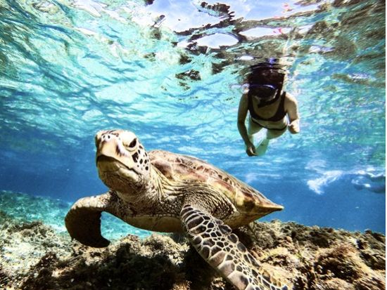 SUP＆ウミガメシュノーケリング 宮古ブルーの絶景を満喫♪初心者歓迎＆写真データ無料＜1日／宮古島＞