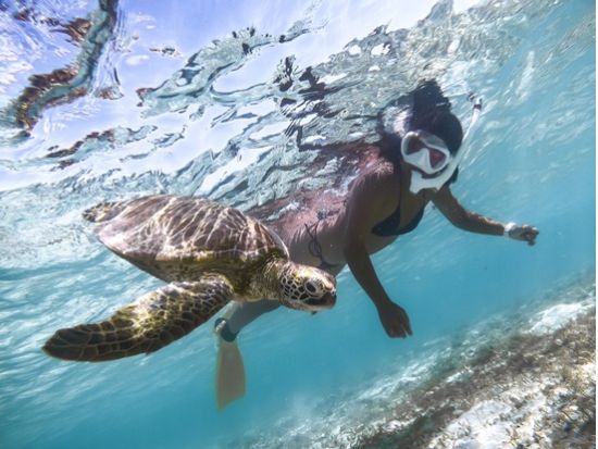 SUP＆ウミガメシュノーケリング 宮古ブルーの絶景を満喫♪初心者歓迎＆写真データ無料＜1日／宮古島＞