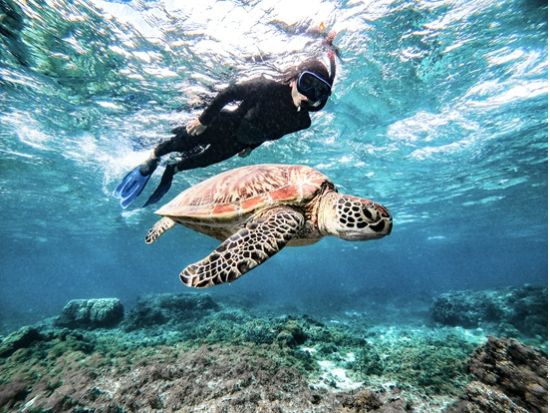 ウミガメシュノーケリング 高確率でウミガメに遭遇！初心者＆ファミリー歓迎 宮古ブルーの海で家族と楽しむマリンアクティビティ体験＜1.5時間／写真無料／宮古島＞