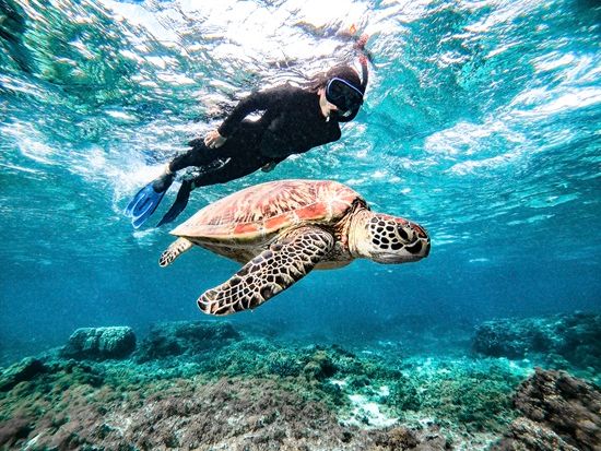 GPTempDownload 9 (1)