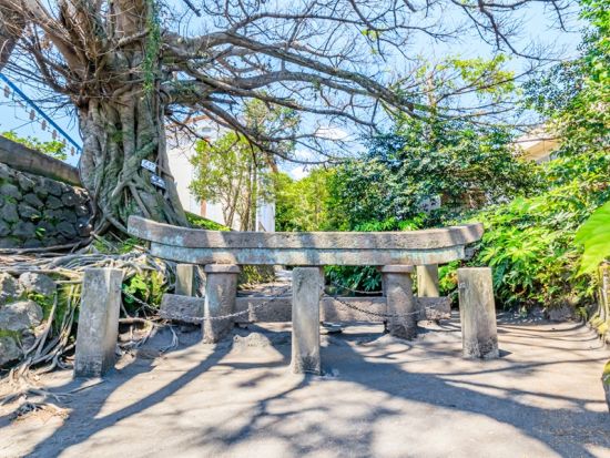 【貸切】観光タクシー 窯元見学＋文学碑＋溶岩展望所などを満喫！桜島活火山探訪コース＜4時間／最大9名／鹿児島市内発着＞