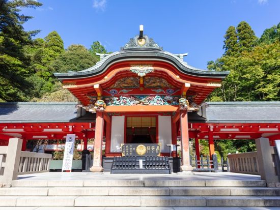 【貸切】観光タクシー 鹿児島市内･桜島・霧島温泉コース 坂本龍馬ゆかりの地と絶景の旅＜6時間／最大9名／鹿児島市内発＞