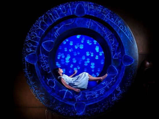 アトランティス・ザ・パーム　テーマパーク入場チケット　「アクアベンチャー」または「ロストチェンバー水族館」　セットプランあり　＊即予約確定