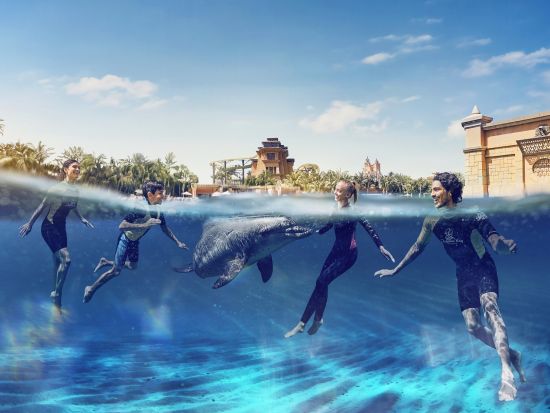 アクアベンチャー（Aquaventure） アクティビティ事前予約サービス　イルカやアシカとふれあい体験＆サメとシュノーケリング＜アトランティス・ザ・パーム＞