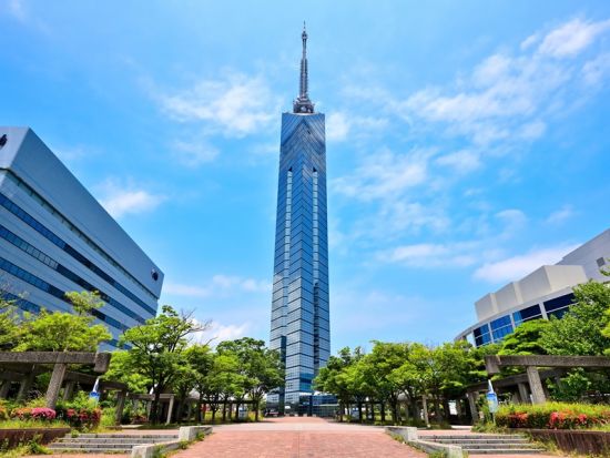 博多港発着 フリーチャータープラン ＜6～8時間／普通車・アルファード・ハイエース＞ by ブルーキャブ