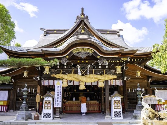 博多港発着 フリーチャータープラン ＜6～8時間／普通車・アルファード・ハイエース＞ by ブルーキャブ