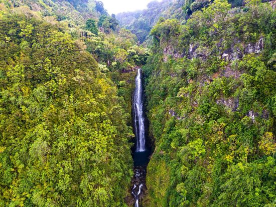 マウイ島　ヘリコプター遊覧飛行　選べる4プラン ＜フライト50分／英語パイロット＞by ブルーハワイアンヘリコプターズ