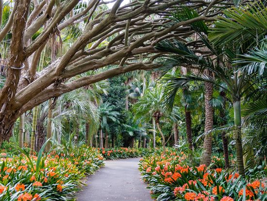 AdobeStock_102788303