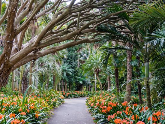 ボタニックガーデン・レストラン（Botanic Gardens Restaurant）食事券＆事前予約サービス　王立植物園内で優雅なランチ＜シドニー＞