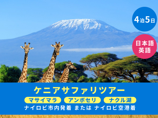 【ナイロビ発着 4泊5日】朝夕サファリ三昧！国立公園周遊ツアー　アンボセリ＆ナクル湖＆マサイマラ＜貸切／日本語or英語／選べるオプション充実／市内or空港送迎＞