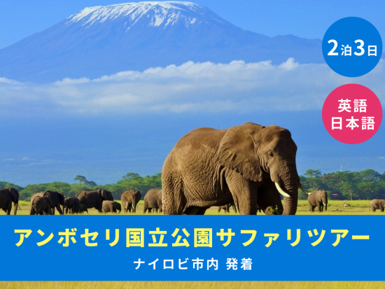 【ナイロビ発着 2泊3日】アンボセリ国立公園サファリツアー ゲームドライブ4回＜英語or日本語／混載or貸切／市内発着＞