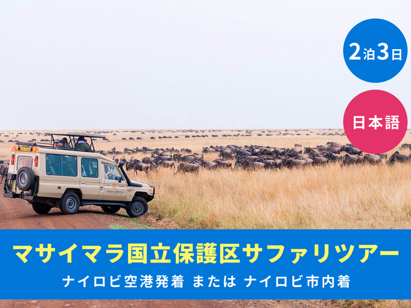 Ac161615-ONLYONE TRAVEL