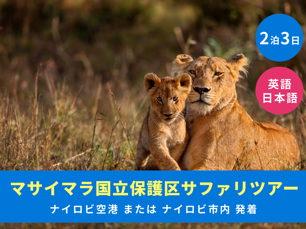 アンティーク マドラスレース サファリ 動物の楽園 カーテンパネル アイボリー アンティーク マドラスレース サファリ 動物の楽園 カーテンパネル