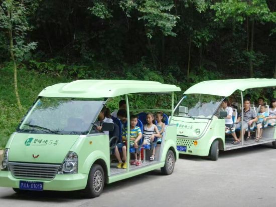 雅安碧峰峡パンダ基地ツアー　シャンシャン＆シンシン会いに行こう！＜日本語ガイド／昼食付き／成都発／プライベートツアー＞