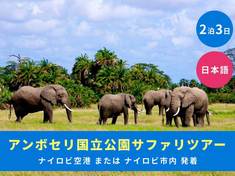 Ac161612-ONLYONE TRAVEL