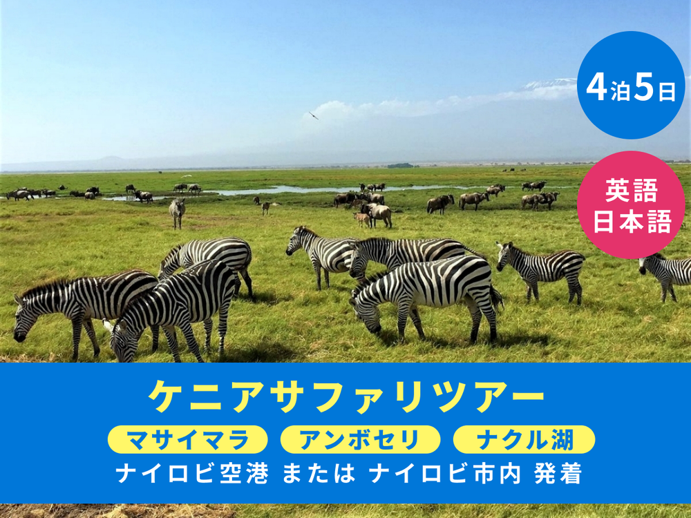 サファリへ行こう ヒサクニヒコ　東アフリカのサバンナ実践ガイド　まるまるサファリ サファリへ行こう 東アフリカのサバンナ実践ガイド | ヒサ クニヒコ
