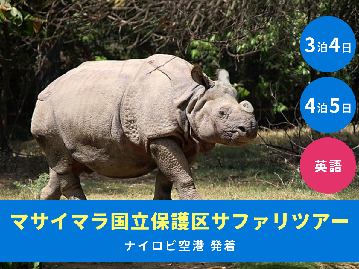 ナイロビ発着 3泊4日／4泊5日】サファリの聖地マサイ・マラ国立保護区