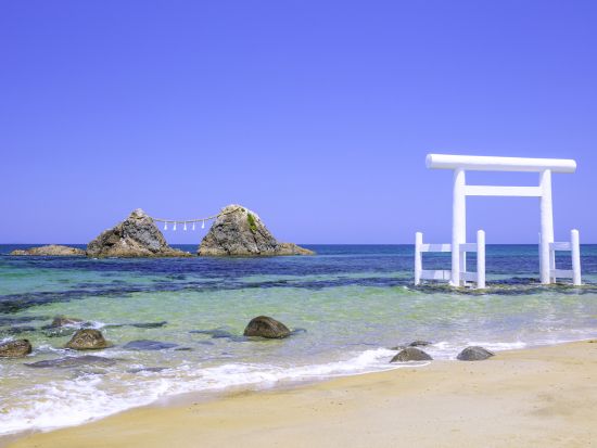 博多港発着 フリーチャータープラン ＜6～8時間／普通車・アルファード・ハイエース＞ by ブルーキャブ