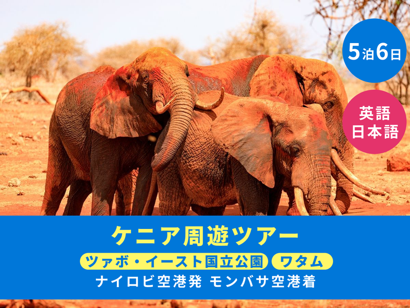 Ac190652-Adobe Stock