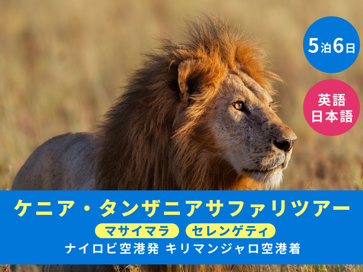 ナイロビ発キリマンジャロ着 5泊6日】 ケニア・タンザニア周遊