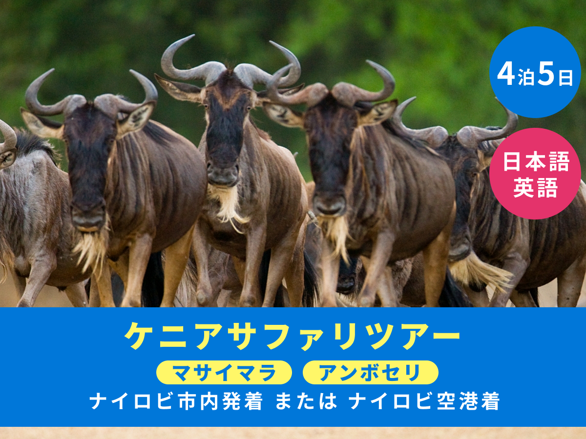 20250522023740_97818336_14721_