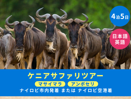 【ナイロビ発着 4泊5日】2大サファリ満喫！アンボセリ国立公園＆マサイマラ国立保護区＜日本語or英語／選べるオプション充実／市内or空港送迎＞