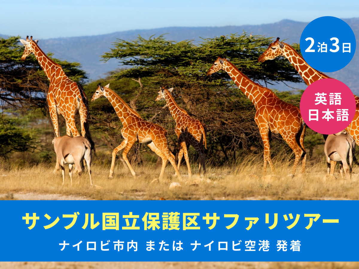 2泊3日 サンブル国立保護区サファリツアー ゲームドライブ4回＜英語or