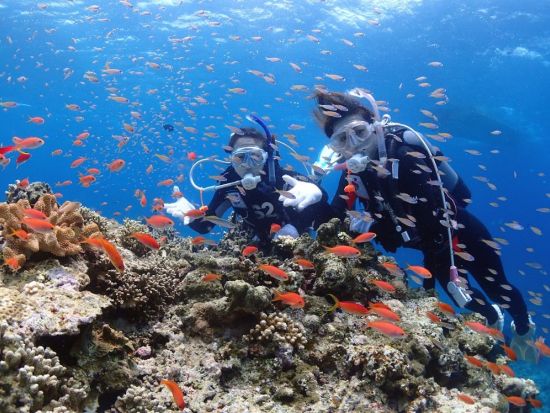 PADIダイビングライセンス取得コース 自宅学習 or eラーニング＋実技2日間＜10歳～／完全少人数制／送迎付き／石垣島＞by S2CLUB石垣島