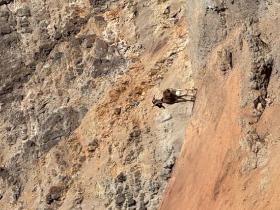 カウアイ島観光ツアー　ウェストサイドコース　ワイメア渓谷＋ハナペペ＋コロア・ポイプ＋カウアイコーヒー農園など＜貸切／日本語ガイド＞