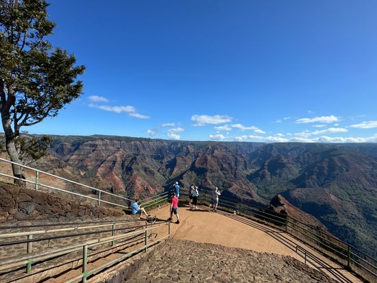 カウアイ島観光ツアー　ウェストサイドコース　ワイメア渓谷＋ハナペペ＋コロア・ポイプ＋カウアイコーヒー農園など＜貸切／日本語ガイド＞の写真5