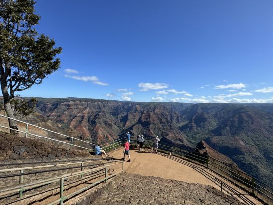 カウアイ島観光ツアー　ウェストサイドコース　ワイメア渓谷＋ハナペペ＋コロア・ポイプ＋カウアイコーヒー農園など＜貸切／日本語ガイド＞