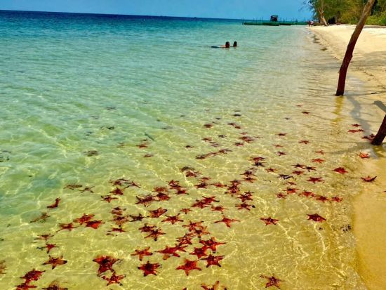 フーコック島　貸切チャーター（1～20名）　自由にスケジュールをアレンジできるプライベートツアー！＜4～12時間／英語ドライバー＞