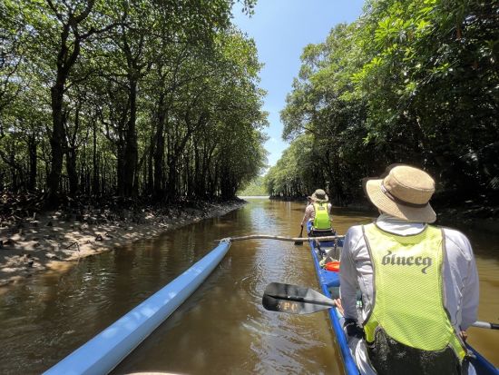SUP＆アウトリガーカヌーツアー！ローカルガイドがご案内 SUPと6人乗りカヌーで西表島の大自然を満喫＜1日／3歳～／昼食・送迎付き／西表島＞